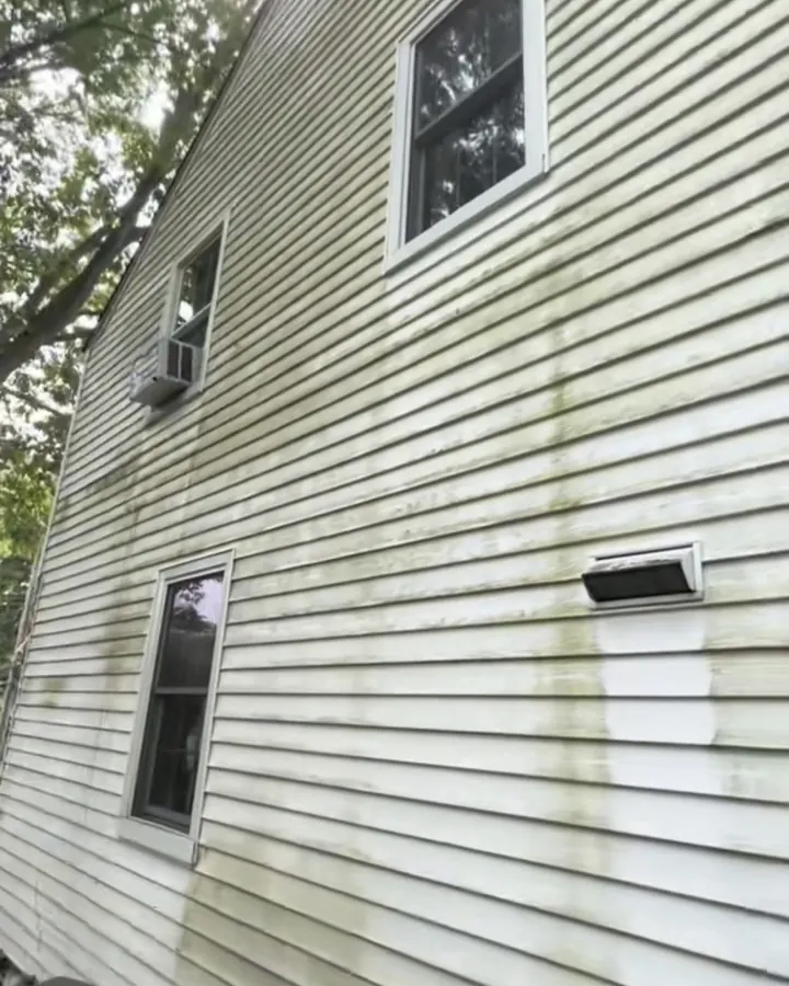 Vinyl siding streaked with green algae before soft washing